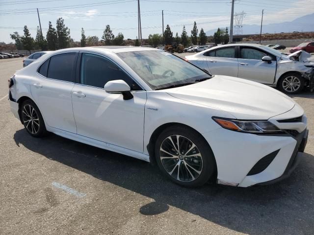 2019 Toyota Camry Hybrid