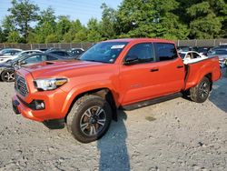 Salvage cars for sale from Copart Waldorf, MD: 2018 Toyota Tacoma Double Cab