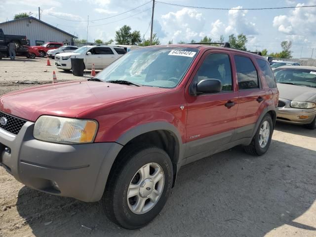 2001 Ford Escape XLT