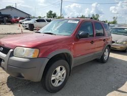 Ford Vehiculos salvage en venta: 2001 Ford Escape XLT