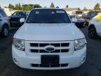 2008 Ford Escape Limited