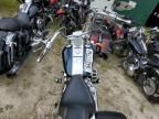 2001 Harley-Davidson Fxst