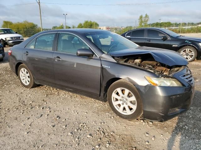 2009 Toyota Camry Hybrid