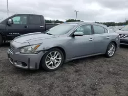 Nissan salvage cars for sale: 2009 Nissan Maxima S