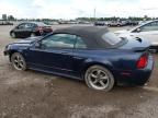 2001 Ford Mustang GT