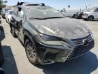 2021 Lexus NX 300H Base