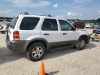 2005 Ford Escape XLT