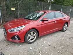 Salvage cars for sale at Cicero, IN auction: 2019 Hyundai Sonata Limited