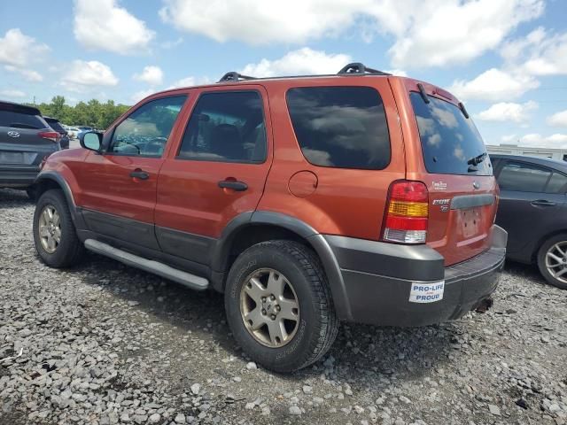 2006 Ford Escape XLT