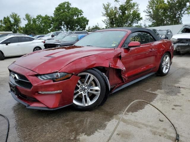 2019 Ford Mustang