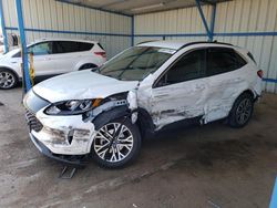 Salvage cars for sale at Colorado Springs, CO auction: 2020 Ford Escape SEL