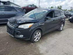 Salvage cars for sale at Pekin, IL auction: 2014 Ford Escape Titanium