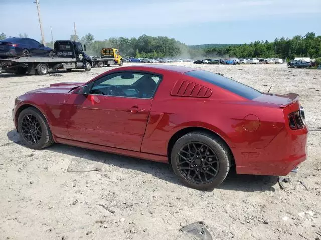 2014 Ford Mustang