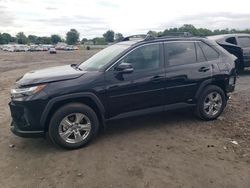 2024 Toyota Rav4 XLE en venta en Hillsborough, NJ