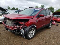 Salvage cars for sale at Elgin, IL auction: 2019 Ford Escape SEL