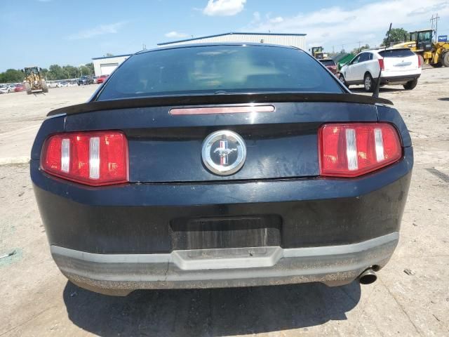 2010 Ford Mustang