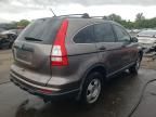 2010 Honda CR-V LX