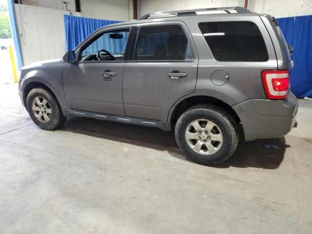 2011 Ford Escape Limited