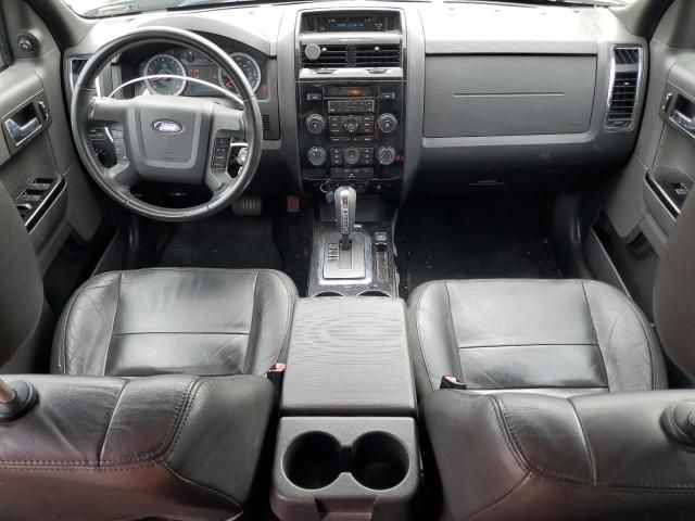 2010 Ford Escape Limited