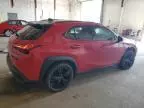 2021 Lexus UX 250H