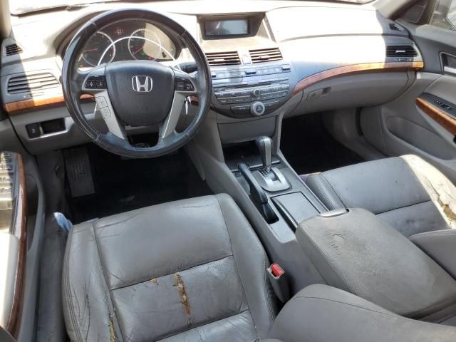 2011 Honda Accord EXL