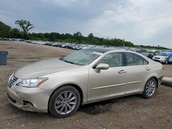 Salvage cars for sale from Copart Des Moines, IA: 2010 Lexus ES 350