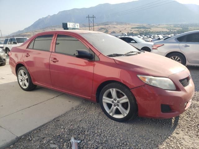 2010 Toyota Corolla Base