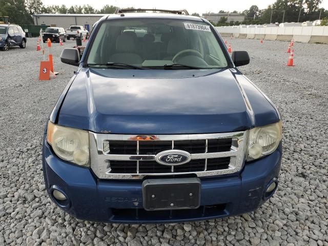 2008 Ford Escape XLT