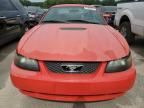 2001 Ford Mustang