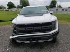 2022 Ford F150 Raptor