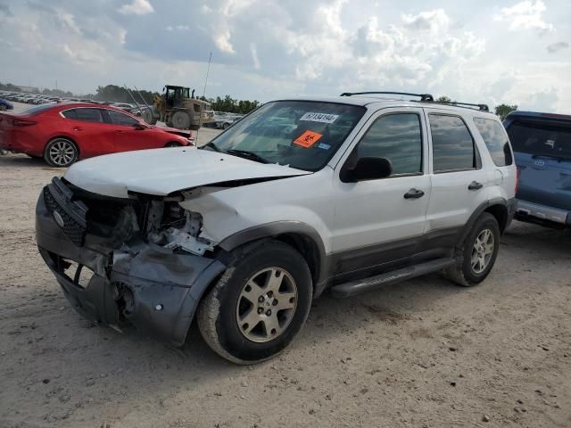 2005 Ford Escape XLT