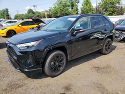 Salvage cars for sale at New Britain, CT auction: 2024 Toyota Rav4 SE