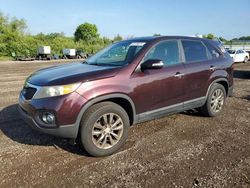 Salvage cars for sale at Columbia Station, OH auction: 2011 KIA Sorento EX