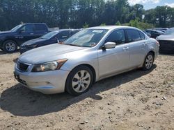 Honda salvage cars for sale: 2008 Honda Accord EX