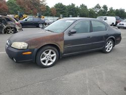 Nissan salvage cars for sale: 2002 Nissan Maxima GLE