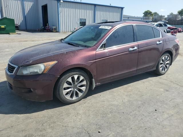 2010 Honda Accord EXL