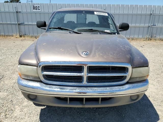 2000 Dodge Dakota Quattro