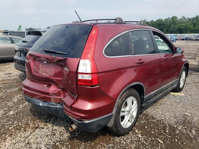 2010 Honda CR-V EXL