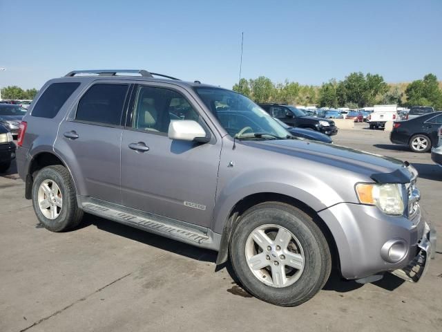 2008 Ford Escape HEV