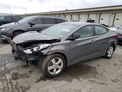 2013 Hyundai Elantra GLS en venta en Louisville, KY