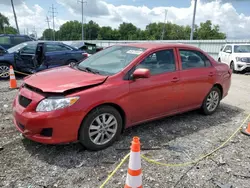 Toyota salvage cars for sale: 2010 Toyota Corolla Base