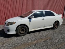 Toyota salvage cars for sale: 2010 Toyota Corolla Base