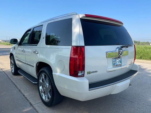 2010 Cadillac Escalade Hybrid