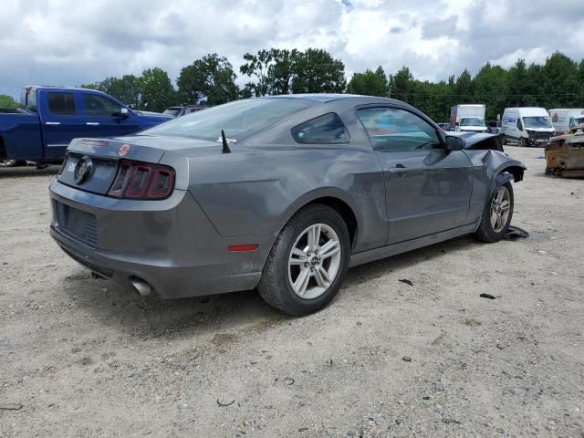 2013 Ford Mustang