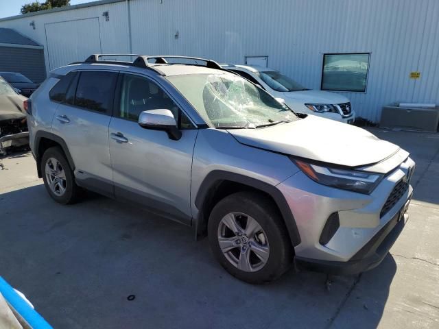 2024 Toyota Rav4 XLE