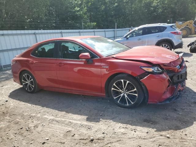 2019 Toyota Camry Hybrid