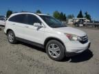 2010 Honda CR-V EXL