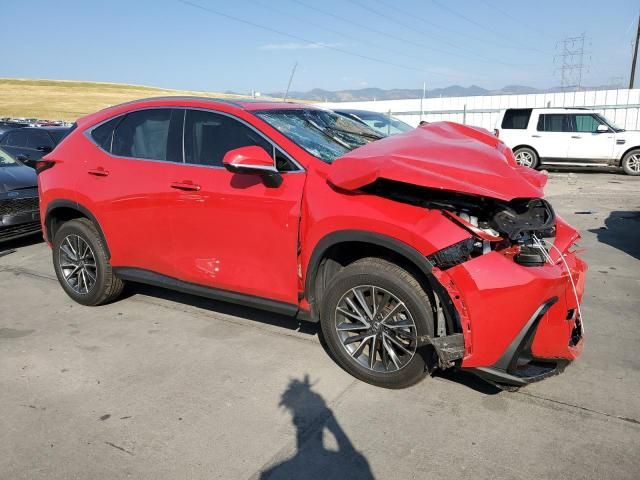 2024 Lexus NX 350H Base