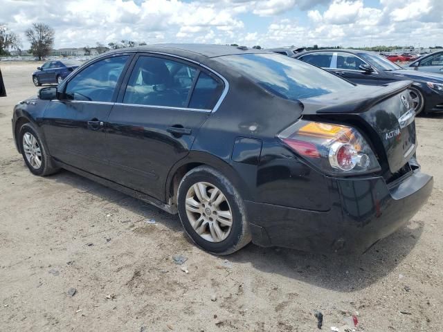 2010 Nissan Altima Base