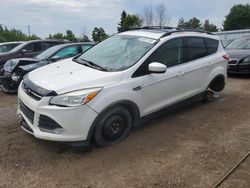 Ford Escape Vehiculos salvage en venta: 2013 Ford Escape SE